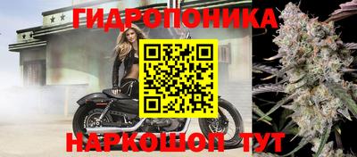 мдпв Гусев