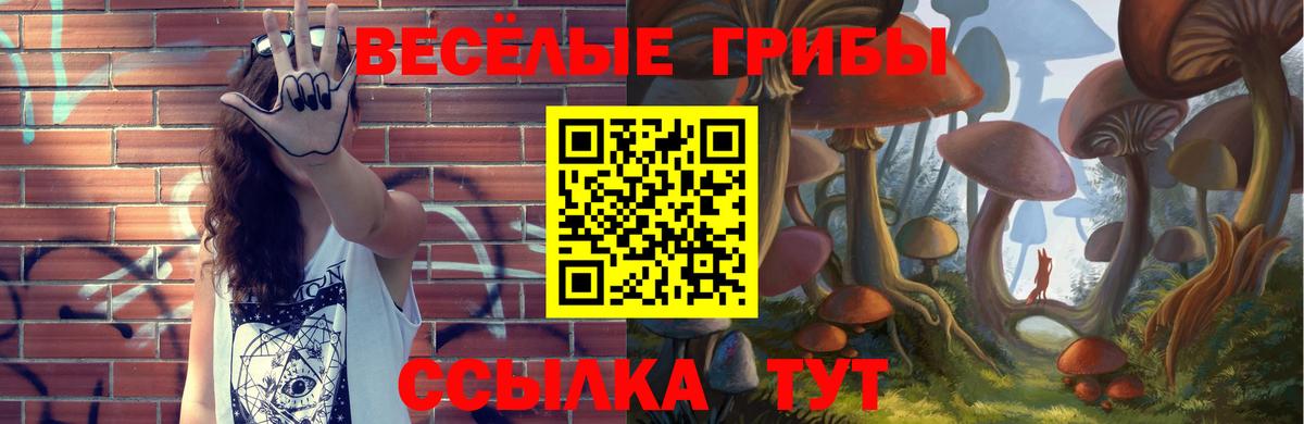 Галлюциногенные грибы Magic Shrooms  Вход с VPN  Галлюциногенные грибы MAGIC MUSHROOMS  Людиново 