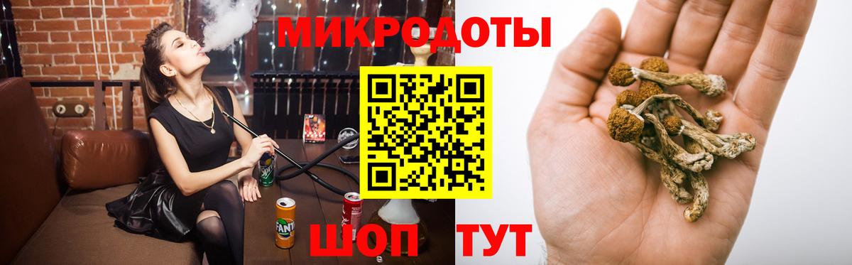 Псилоцибиновые грибы Cubensis Людиново